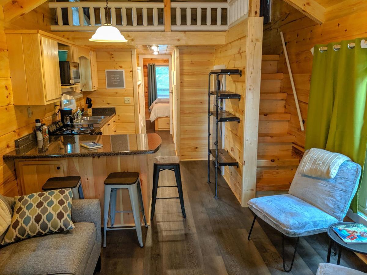 Elise Cabin Forest Retreat 5 Mins To Downtown Chattanooga Kültér fotó