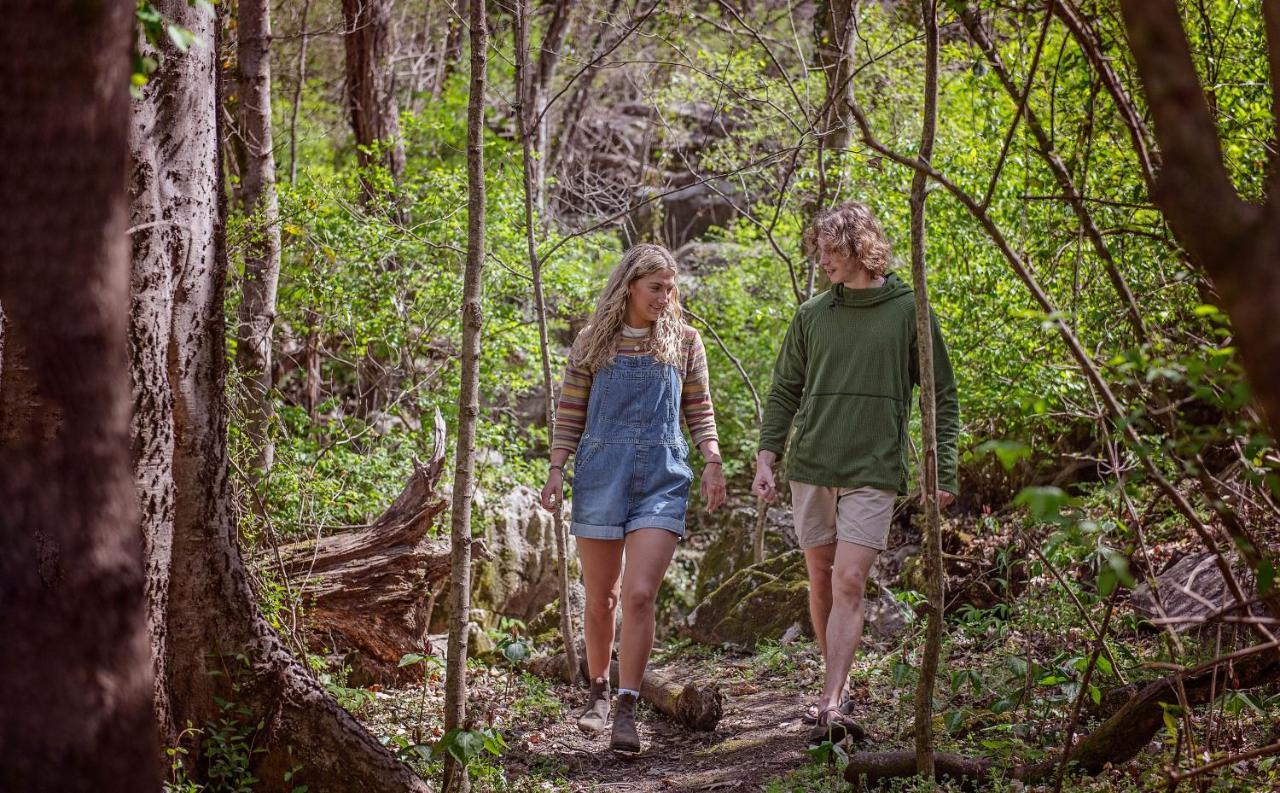 Elise Cabin Forest Retreat 5 Mins To Downtown Chattanooga Kültér fotó